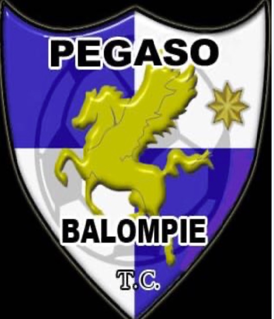C.D. PEGASO BALOMPIE TRES CANTOS